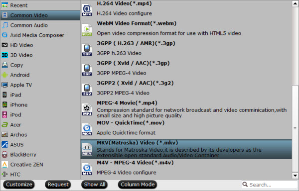 MKV Video Format