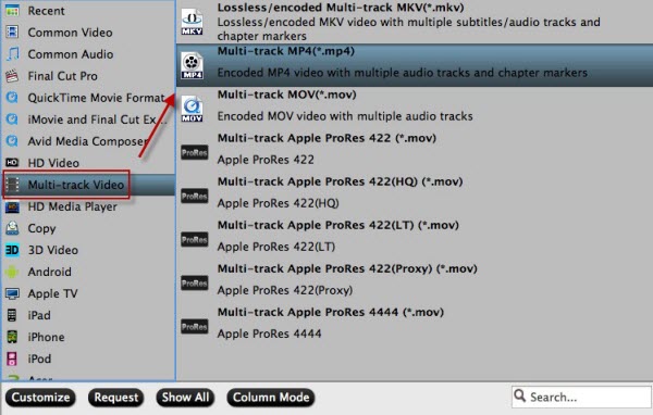 Multi-track MP4 format